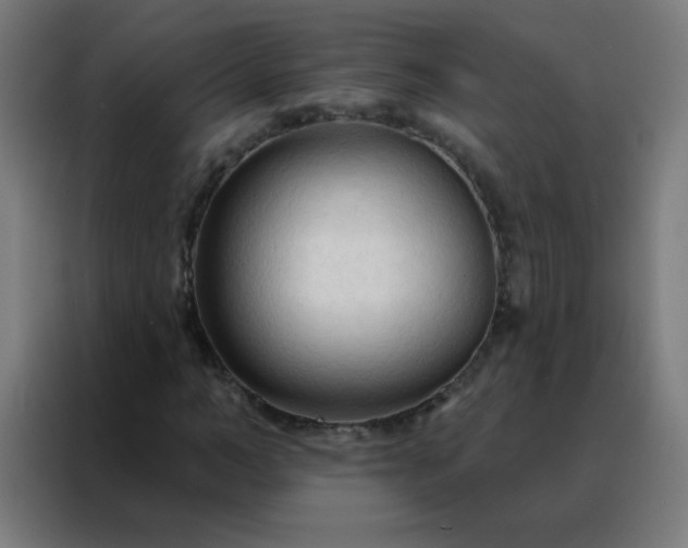 X0000088220966200705221800