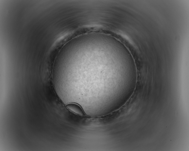 X0000088220967200705221800