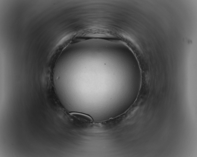 X0000088220968200705221800