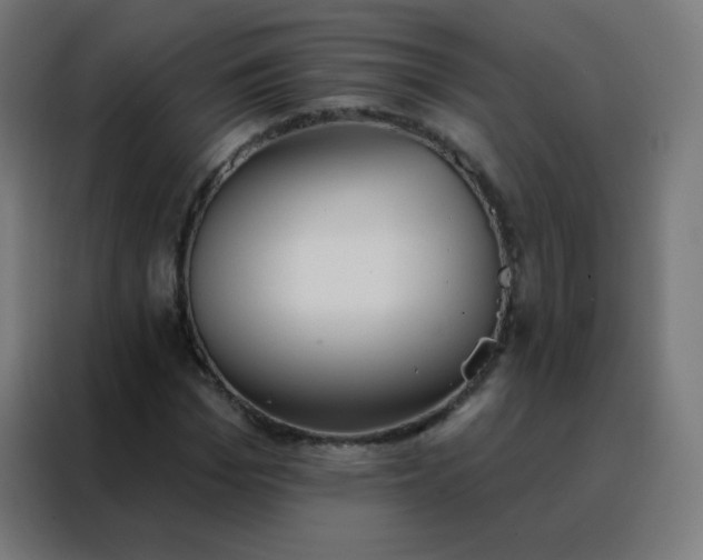 X0000088220969200705221800