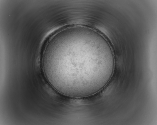 X0000088220971200705221800