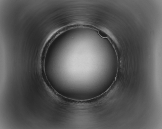 X0000088220972200705221800