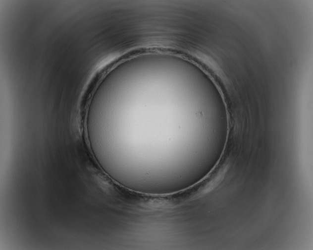 X0000088220974200705221800