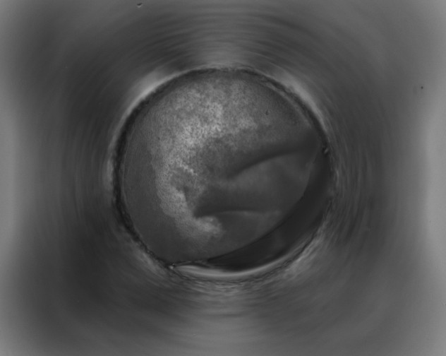 X0000088220975200705221800