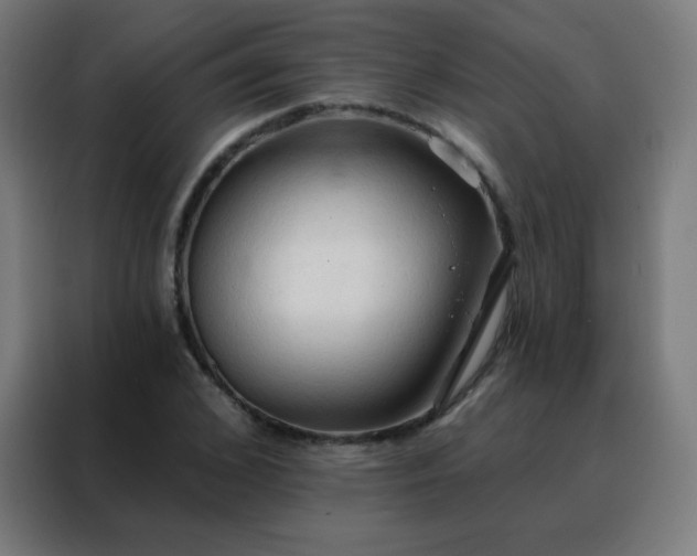 X0000088220976200705221800