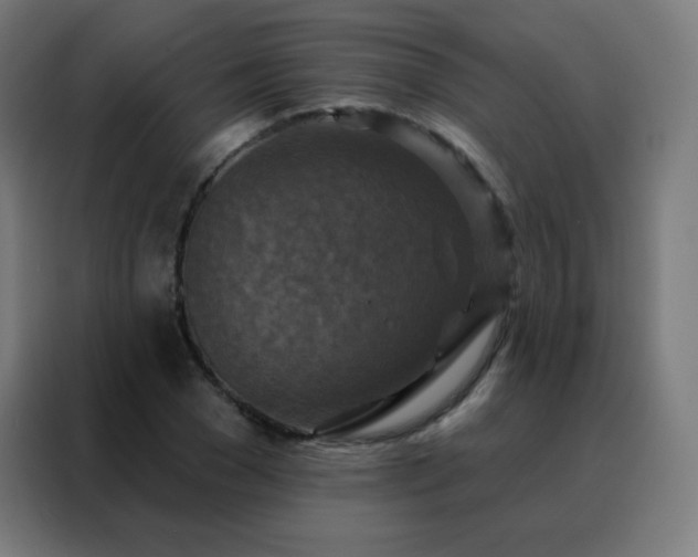 X0000088220977200705221800