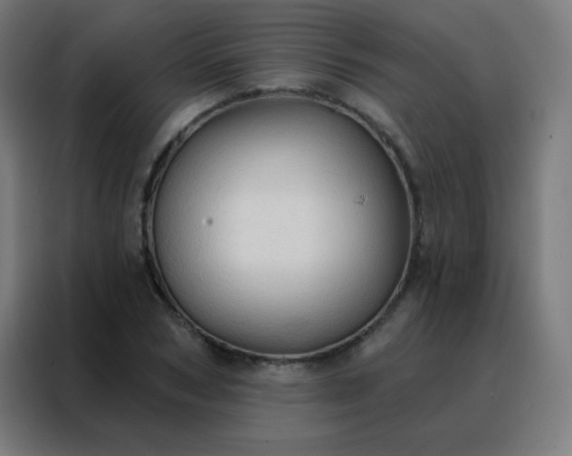 X0000088220978200705221800