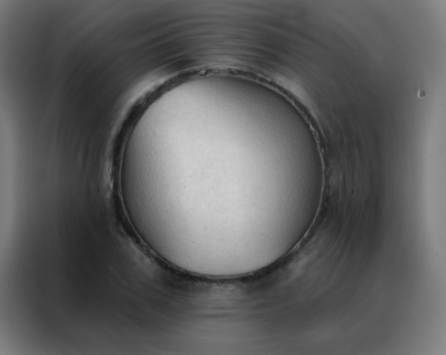 X0000088220979200705221800