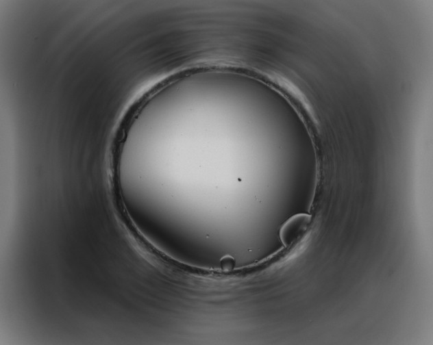 X0000088220981200705221800