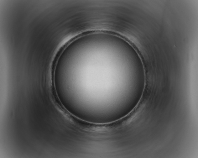 X0000088220982200705221800