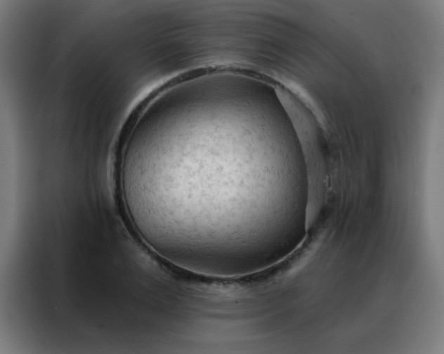 X0000088220983200705221800