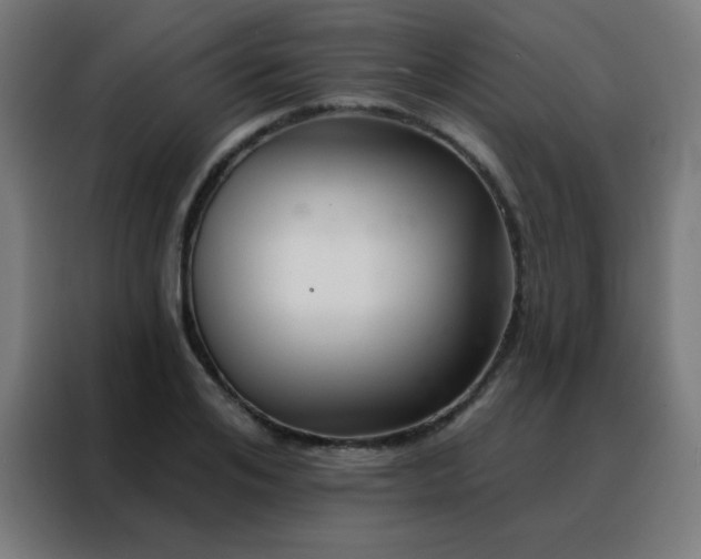 X0000088220984200705221800