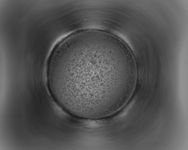 X0000088220987200705221800