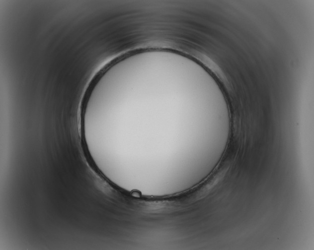 X0000088220988200705221800