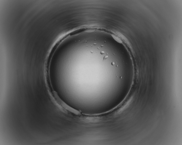 X0000088220989200705221800