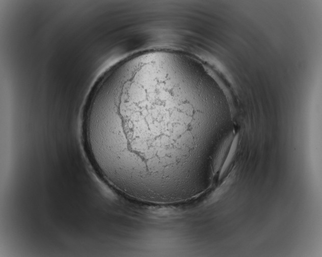 X0000088220991200705221800