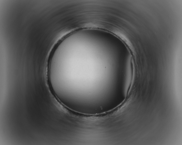 X0000088220992200705221800