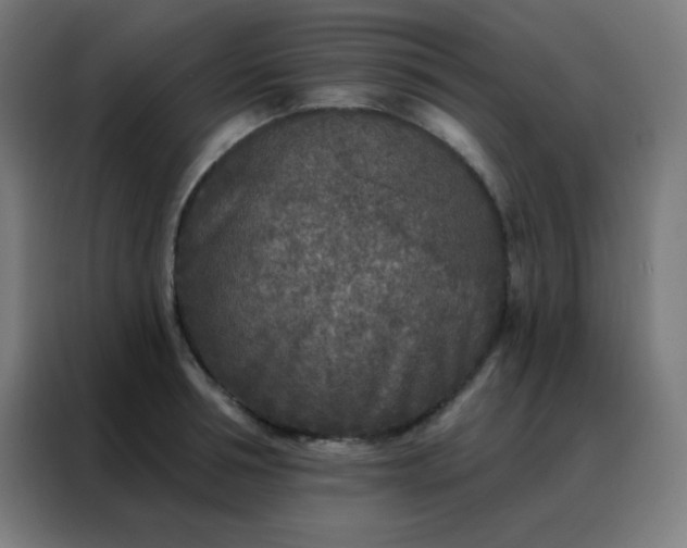 X0000088220994200705221800