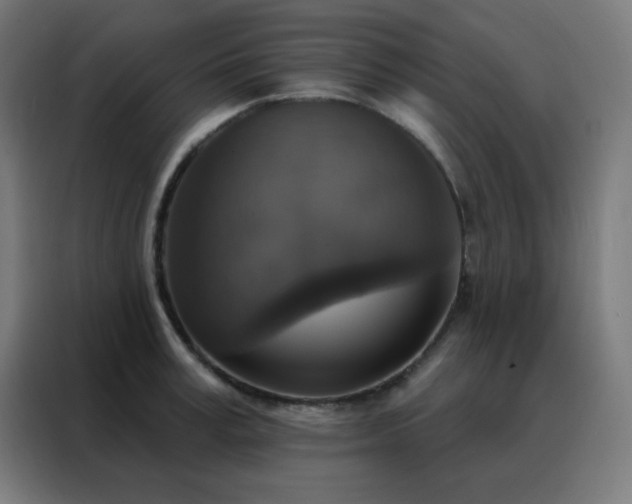 X0000088220995200705221800