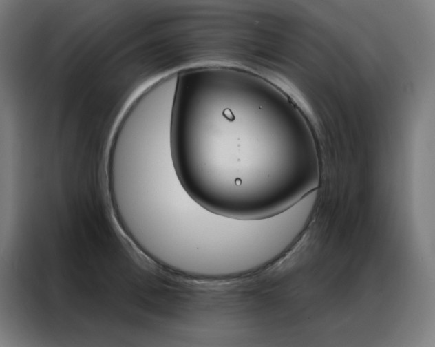 X0000088220996200705221800