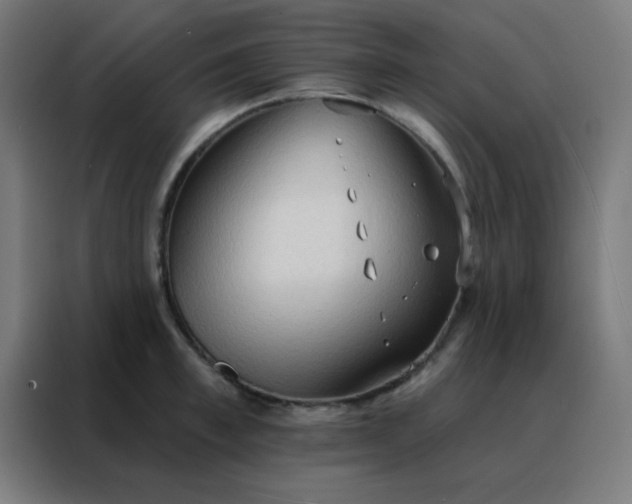 X0000088220997200705221800