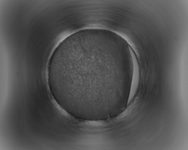 X0000088220998200705221800