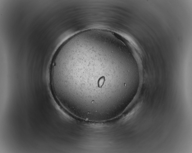 X0000088220999200705221800