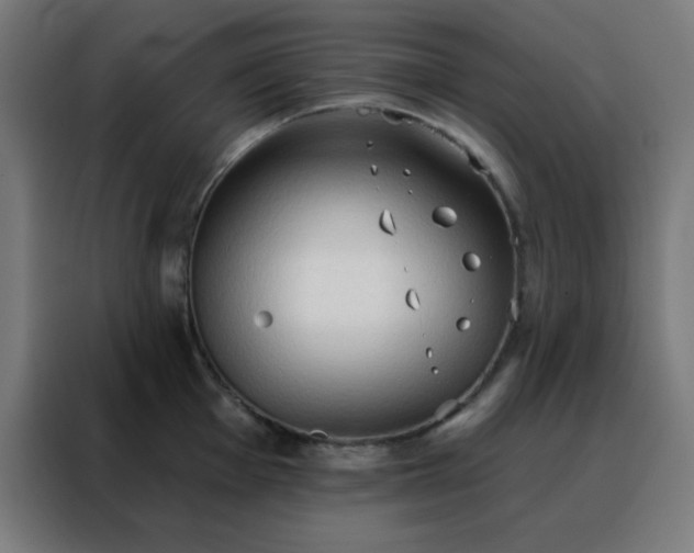 X0000088221001200705221800