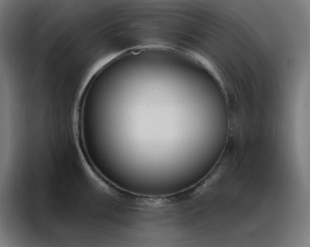 X0000088221003200705221800