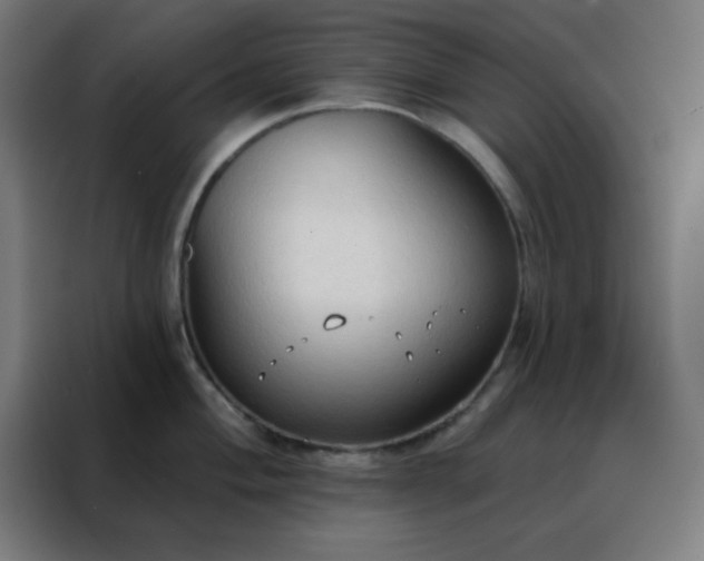 X0000088221004200705221800