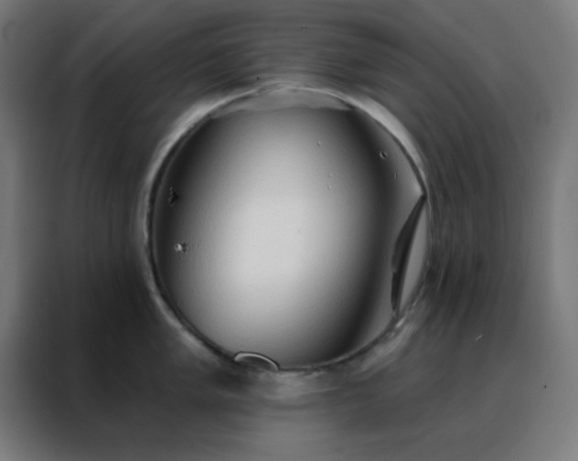 X0000088221005200705221800