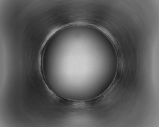 X0000088221006200705221800