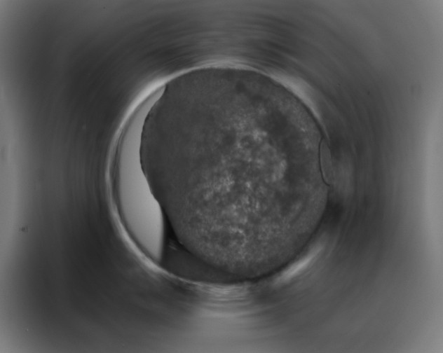 X0000088221007200705221800