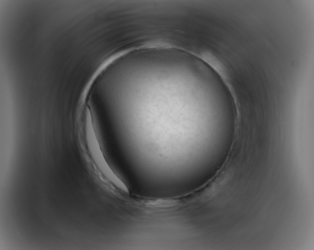 X0000088221008200705221800