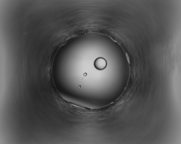 X0000088221010200705221759