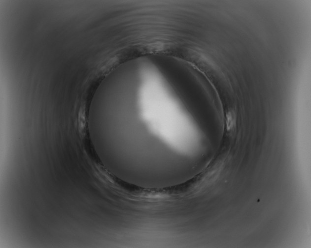 X0000088221011200705221759