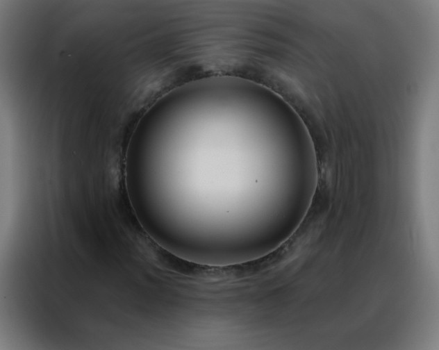 X0000088221012200705221759