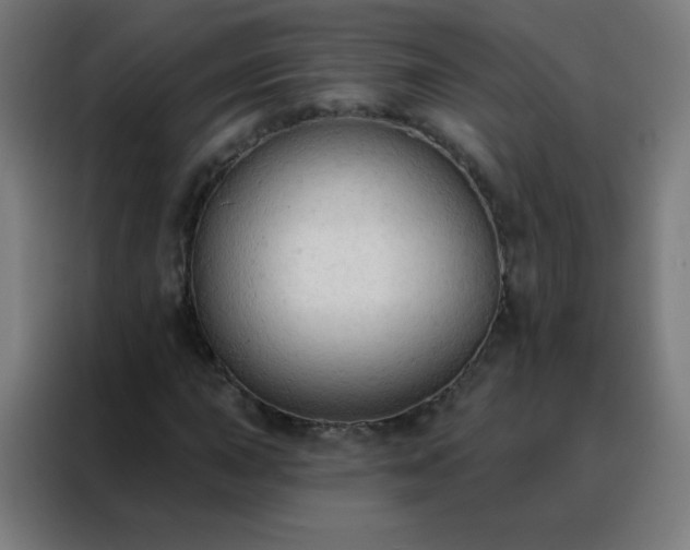 X0000088221015200705221759