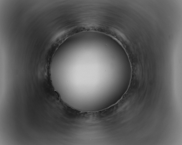 X0000088221016200705221759