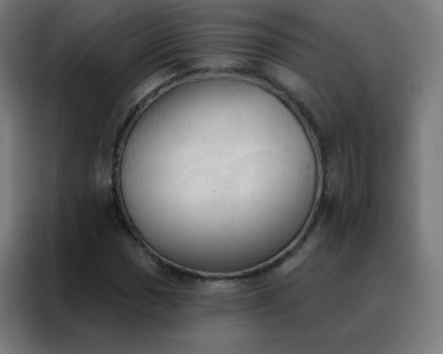 X0000088221017200705221759