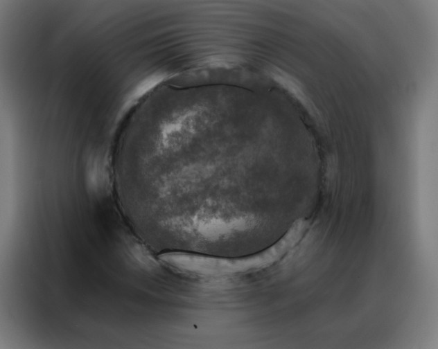 X0000088221018200705221759