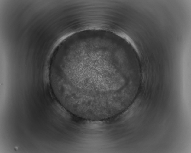 X0000088221019200705221759