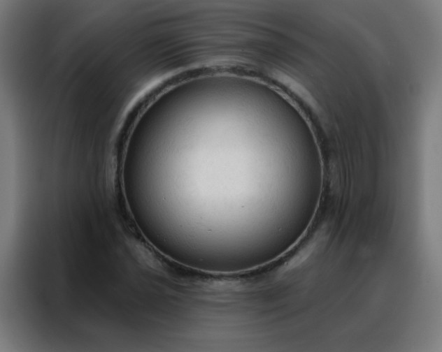 X0000088221021200705221759