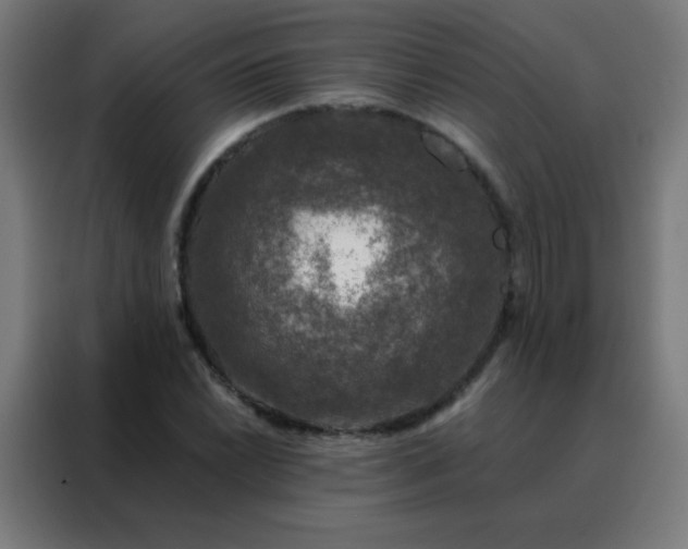 X0000088221022200705221759