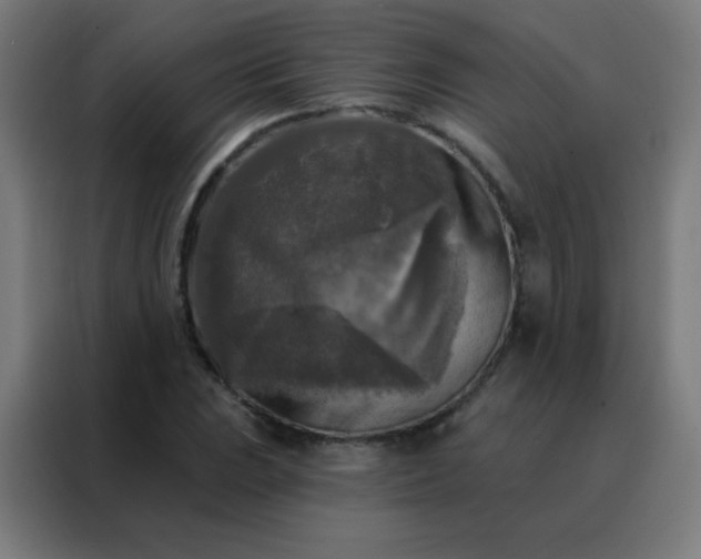 X0000088221023200705221759