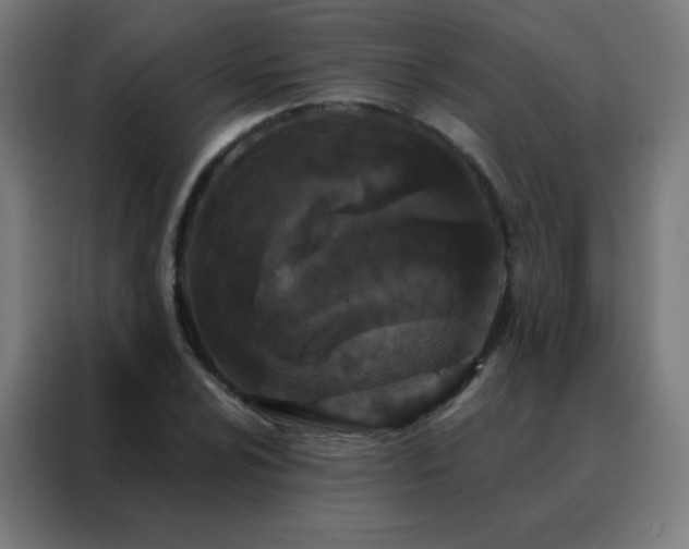 X0000088221024200705221759