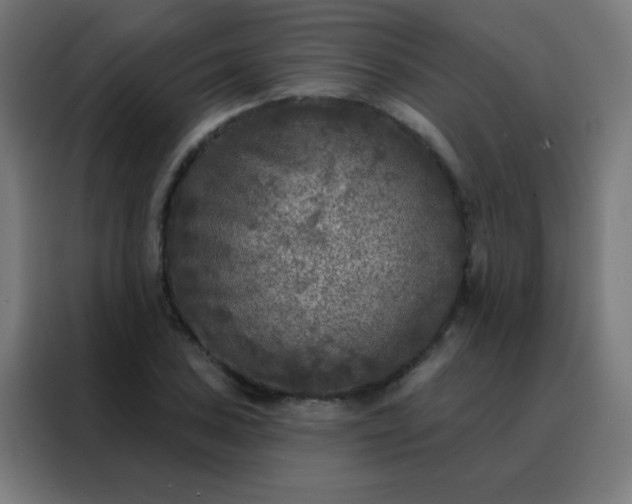 X0000088221027200705221759