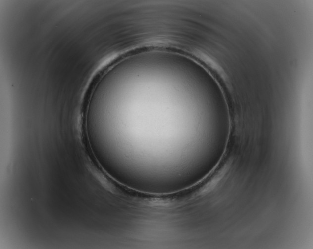 X0000088221029200705221759