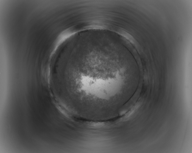 X0000088221030200705221759