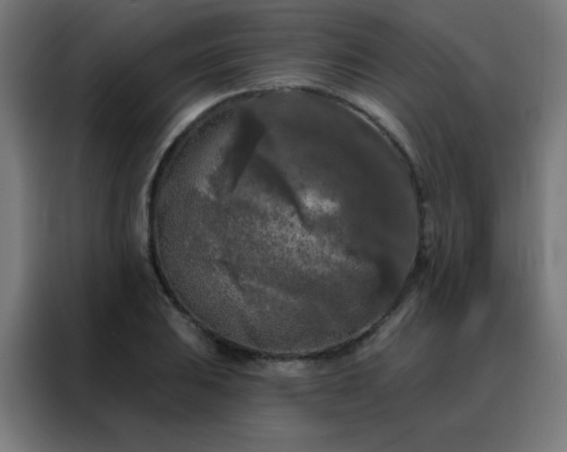 X0000088221031200705221759